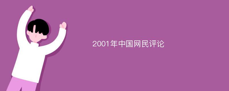 2001年中国网民评论